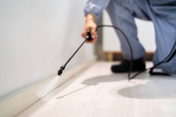 Professional exterminator conducting IPM assessment in Pottsgrove