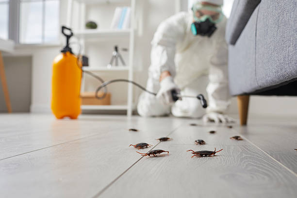 Commercial Rodent Management in Pottsgrove